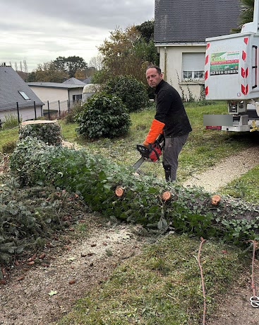 Tronçonnage après abattage – chantier de MJ Élagage Abattage dans le Morbihan