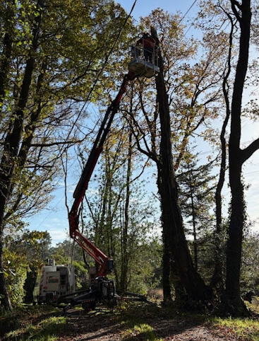Nacelle araignée en action – chantier de MJ Élagage Abattage dans le Morbihan