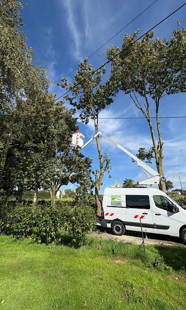 Nacelle de MJ Élagage Abattage en intervention dans des arbres
