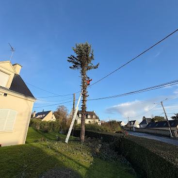 Pendant : le grimpeur démonte l'arbre depuis la cime